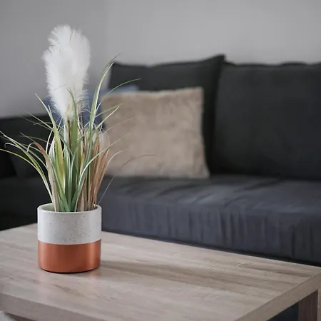 Apartment Familial Avec Jardin Ensoleille Dans La Cite Des Potiers
